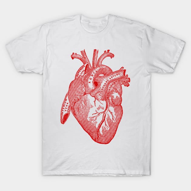 Vintage Medical Illustration of Human Heart T-Shirt by Pixelchicken